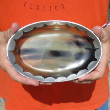 Oval Shaped Polished Buffalo Horn Bowl, Cow Horn Bowl with aluminum scallop design decorative edge 7 inches for $20.00