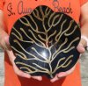 Decorative Hand Carved and Hand Painted Buffalo Horn Leaf Shaped bowl/tray for sale 8 inches - You are buying the Buffalo Horn Bowl/tray pictured for $21.00