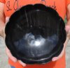 Decorative Round Polished Buffalo Horn Bowl with Scallop cut edge design for sale 8 inches - You are buying the Buffalo Horn Bowl pictured for $22.00