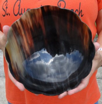 Decorative Round Polished Ox Horn, Cow Horn Bowl with Scallop cut edge design 8 inches For Sale for $22.00