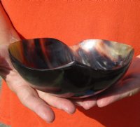Decorative Heart Shaped Polished Buffalo Horn, Cow Horn Bowl 6 inches. For Sale for $18.00