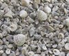 Case of wholesale n...