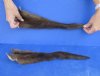 2 pc lot of Genuine tanned otter tails measuring approximately 15 to 16 inches long. You will receive the 2 pictured for $25