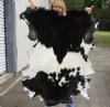 Real Goat Hide for sale (Capra aegagrus hircus) for sale 45 x 32 inches - review all photos - you are buying the goat hide pictured for $35
