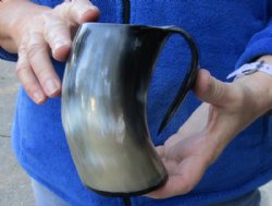 Polished Buffalo horn mug, Cow horn mug measuring approximately 4-1/2 inches tall or $19