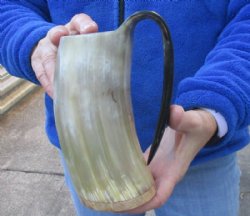 Polished Buffalo horn mug, Ox horn mug with wood base/bottom measuring approximately 6-1/2 inches tall $26