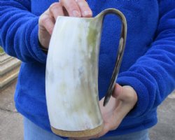 Polished buffalo horn mug, Ox horn mug with wood base/bottom measuring approximately 6-1/2 inches tall for $26