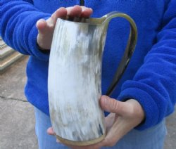 Polished Cow horn mug, Buffalo horn mug with wood base/bottom 7-1/2 inches tall for $30