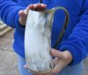 Polished buffalo horn mug with wood base/bottom measuring approximately 7-1/2 inches tall. You are buying the horn mug pictured for $30