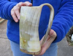 Polished Cow horn mug, Ox horn mug with wood base/bottom 6-1/2 inches tall for $26