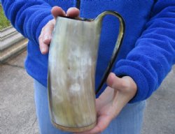 Polished Cow horn mug, Ox horn mug with wood base/bottom 7-1/2 inches tall for $30