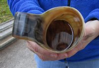 Polished Ox horn mug, Buffalo horn mug with wood base/bottom 6-1/2 inches tall for $26