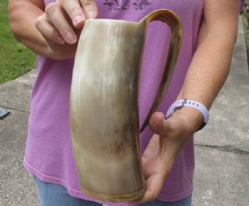 Polished Buffalo horn mug, Ox horn mug with wood base/bottom measuring approximately 8-1/4 inches tall. Buy now for $36