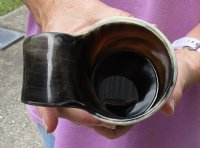 Polished buffalo horn mug measuring approximately 6 inches tall. You are buying the horn mug pictured for $26