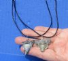 2 pc lot of Fossil Mako and Megalodon shark tooth necklaces - You will receive the ones in the photo for $35