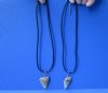 2 pc lot of Fossil Mako shark tooth necklaces - You will receive the ones in the photo for $39