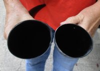 2 pc lot of Polished Water Buffalo Horns measuring 16 and 17 inches long $20/lot