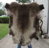 45 inches by 44 inches Finland Reindeer Hide, Skin, farm raised - You are buying this one for $155