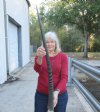 Gemsbok horn for making shofars 35 inches - you are buying the horn pictured for $26
