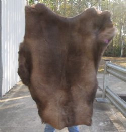 Craft Grade 43 inch by 36 inch Tanned Reindeer hide imported from Finland for $75.00