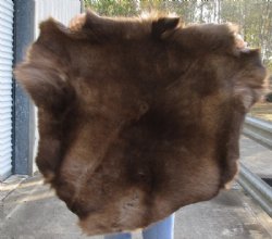 Craft Grade 39 inch by 38 inch Tanned Reindeer hide imported from Finland for $75.00
