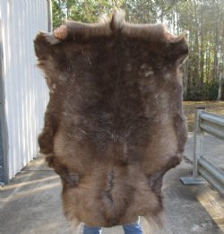 Grade B Reindeer pelt/hide/skin without legs, 45 inches long by 33 inches wide for $95