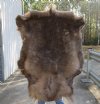Grade B Reindeer pelt/hide/skin without legs, 45 inches long by 33 inches wide - You will receive the one pictured for $95