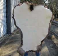 Grade B Reindeer pelt/hide/skin without legs, 46 inches long by 33 inches wide for $95