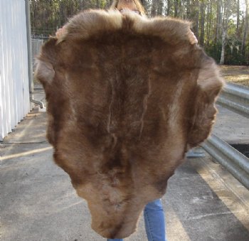 Grade B Reindeer pelt/hide/skin without legs, 46 inches long by 33 inches wide for $95