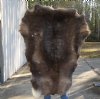 Grade B Reindeer pelt/hide/skin without legs, 47 inches long by 32 inches wide - You will receive the one pictured for $95