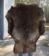 Grade B Reindeer pelt/hide/skin without legs, 49 inches long by 33 inches wide - You will receive the one pictured for $95