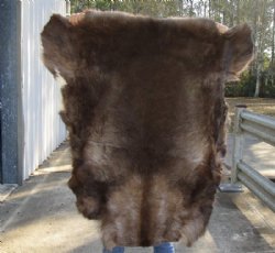 Grade B Reindeer pelt/hide/skin without legs, 46 inches long by 35 inches wide for $95