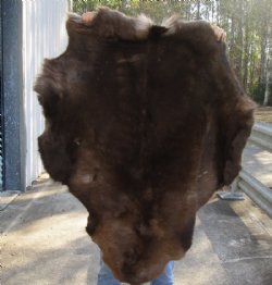 Grade B Reindeer pelt/hide/skin without legs, 45 inches long by 34 inches wide for $95