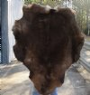 Grade B Reindeer pelt/hide/skin without legs, 45 inches long by 34 inches wide - You will receive the one pictured for $95