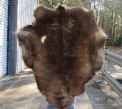 Grade B Reindeer pelt/hide/skin without legs, 45 inches long by 37 inches wide for $95