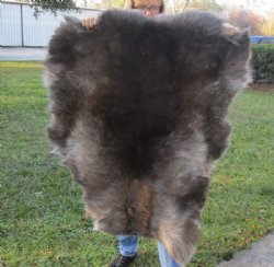 Grade A Reindeer pelt/hide/skin without legs, 42 inches long by 32 inches wide - $100