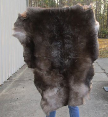 Grade A Reindeer pelt/hide/skin without legs, 43 inches long by 31 inches wide - $100