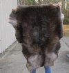 Grade A Reindeer pelt/hide/skin without legs, 43 inches long by 31 inches wide - You will receive the one pictured for $110