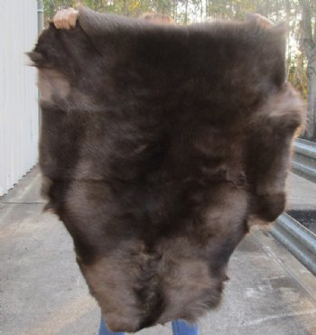Grade A Reindeer pelt/hide/skin without legs, 42 inches long by 33 inches wide - $100