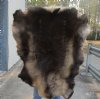 Grade A Reindeer pelt/hide/skin without legs, 45 inches long by 32 inches wide - You will receive the one pictured for $110