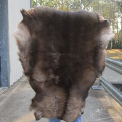 Grade A Reindeer pelt/hide/skin without legs, 44 inches long by 33 inches wide for $100