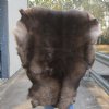 Grade A Reindeer pelt/hide/skin without legs, 44 inches long by 33 inches wide - You will receive the one pictured for $110
