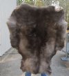 Grade A Reindeer pelt/hide/skin without legs, 43 inches long by 33 inches wide - You will receive the one pictured for $110
