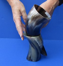 Polished Buffalo Drinking horn with Stand for $22