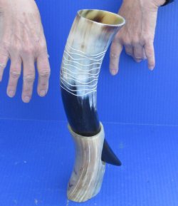 Carved Polished Buffalo Drinking horn and Horn Stand - $23