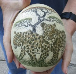 African Scrimshaw Ostrich Egg with Leopards - $50
