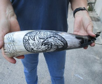 16 inch Polished Carved Bird Cattle/Cow horn - $19