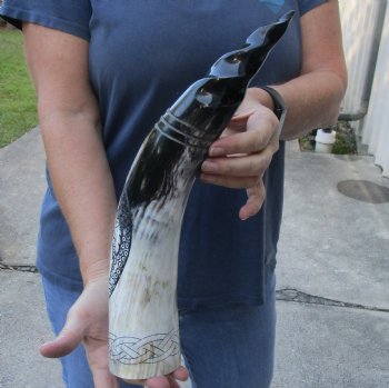 16 inch Polished Carved Bird Cattle/Cow horn - $19