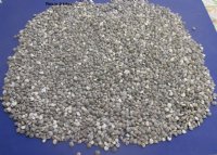 Wholesale Black Umboniums shells for seashell crafts 1/4" to 1/2" -  2 kilos @ $2.00 kilo  
