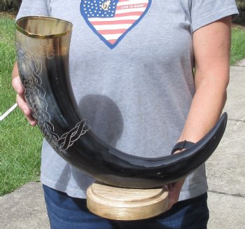 28 inch Carved Buffalo horn centerpiece with wood base - $60